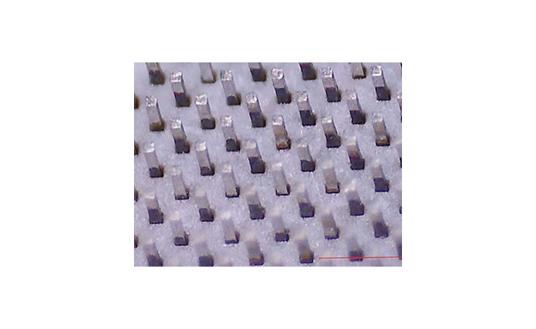 2D MEMS Pin