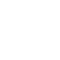 Consumer Electronic